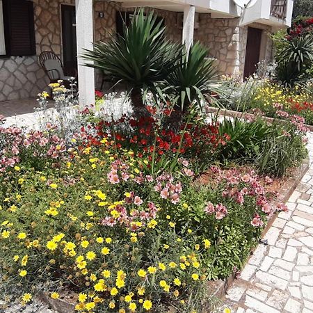 Apartmani Ana Cres Dış mekan fotoğraf