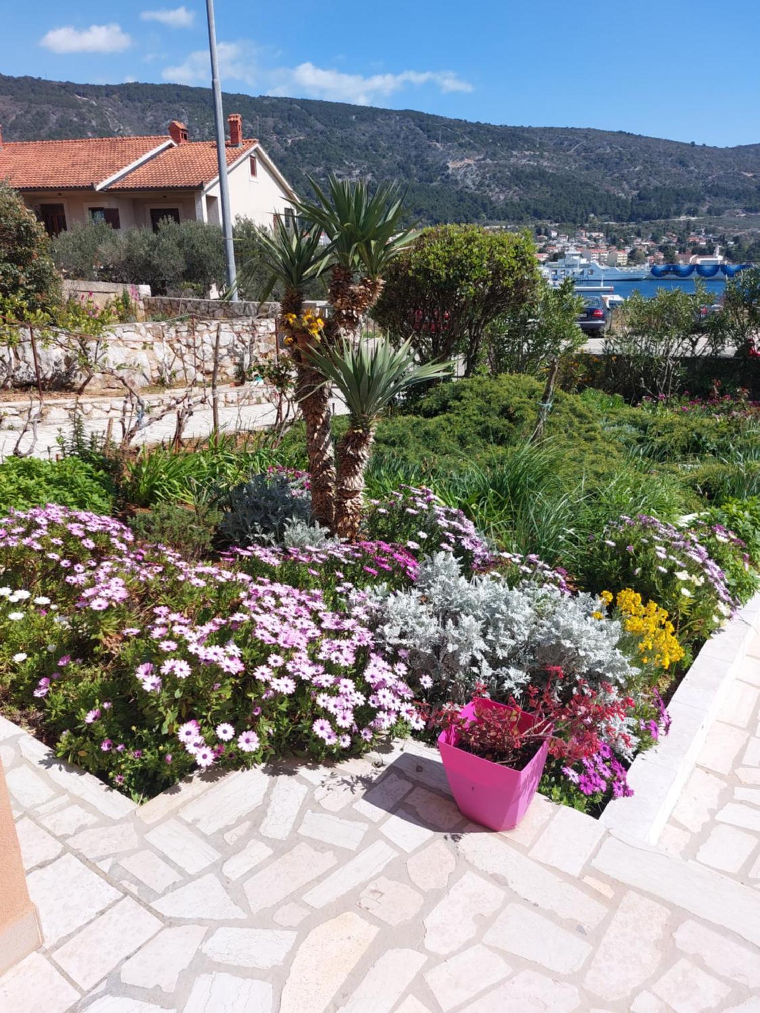 Apartmani Ana Cres Dış mekan fotoğraf