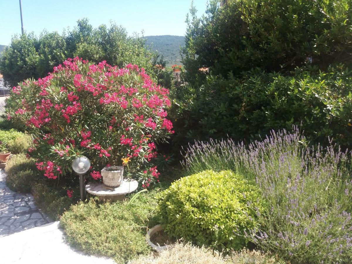 Apartmani Ana Cres Dış mekan fotoğraf